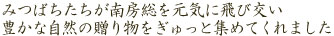 �݂΂���������[�������C�ɔ�ь��� �L���Ȏ��R�̑��蕨��������ƏW�߂Ă���܂�