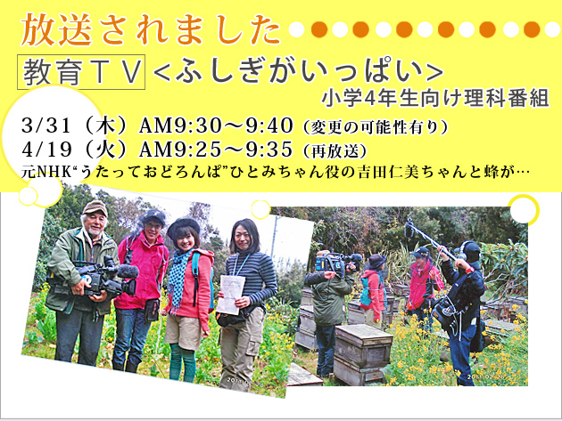 �������܂��I���̂Q NHK����e���r���ӂ����������ς������w4�N���������Ȕԑg�@3��28���i���j���jAM9:10�`9:20 ��NHK�g�������Ă��ǂ��ρh�ЂƂ݂������̋g�c�m�������ƖI���c